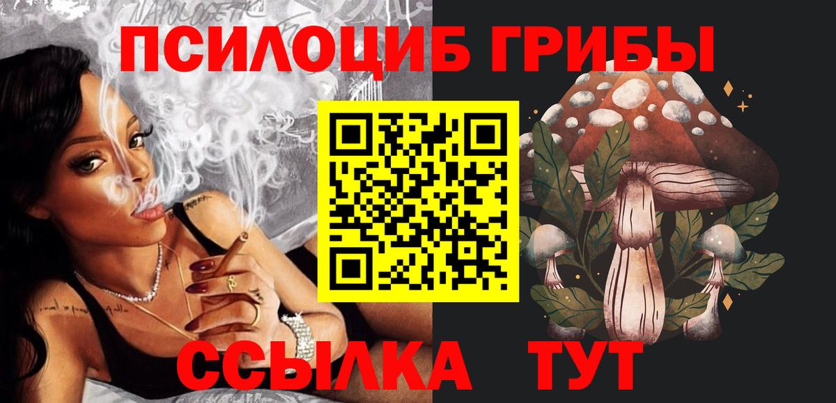 Псилоцибиновые грибы Cubensis Каменск-Шахтинский