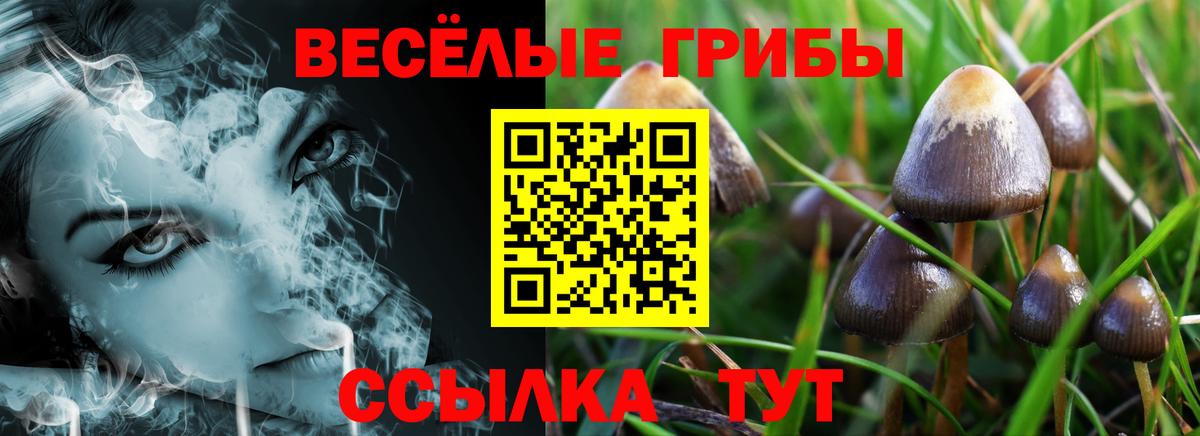 Каменск-Шахтинский  Псилоцибиновые грибы мухоморы  Вход с VPN  Галлюциногенные грибы GOLDEN TEACHER 